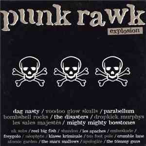 Various - Punk Rawk Explosion #9 download flac