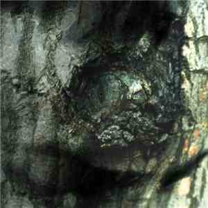 Yann Tiersen - The Waltz Of The Monsters download flac