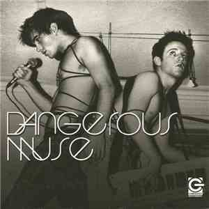 Dangerous Muse - The Rejection (Remixes) download flac