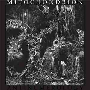 Mitochondrion - Antinumerology download flac