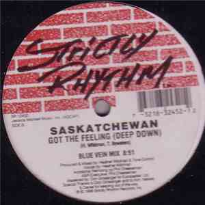 Saskatchewan - Got The Feeling (Deep Down) download flac