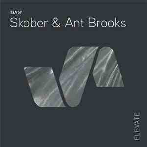 Skober & Ant Brooks - Give Up download flac