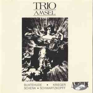 Trio Amsel - Oeuvres Baroques Allemandes/German Baroque Works download flac