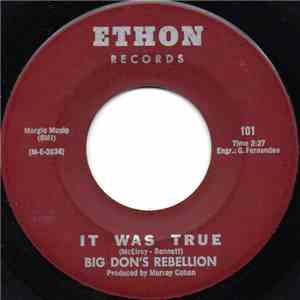 Big Don's Rebellion - It Was True download flac
