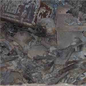 Feral Witness - Untitled I‒VII download flac
