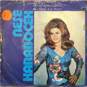 Neşe Karaböcek - Elveda Meyhaneci / Bu Nasıl Aşk Böyle download flac