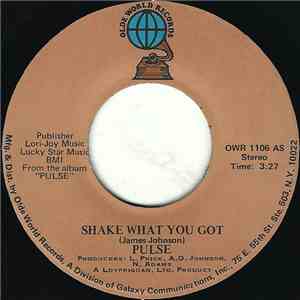 Pulse  - Shake What You Got download flac