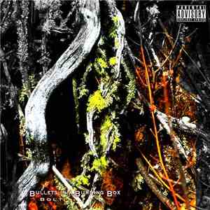 Bullets In A Burning Box - Bolt download flac