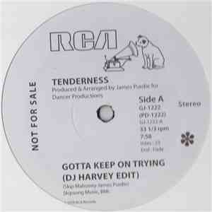Tenderness - Gotta Keep On Trying download flac