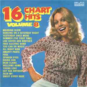 Unknown Artist - 16 Chart Hits Volume 8 download flac