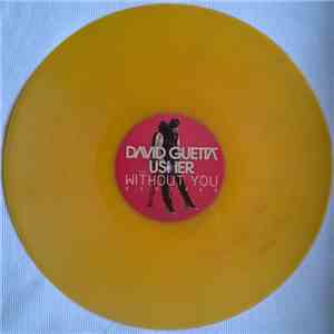 David Guetta Feat. Usher - Without You (Remixes) download flac