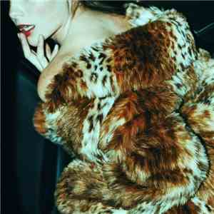 Kitten  - Like a Stranger download flac