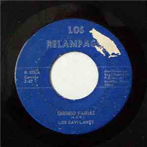 Los Gavilanes - Onorio Farias / Amplifique Tu Retrato download flac