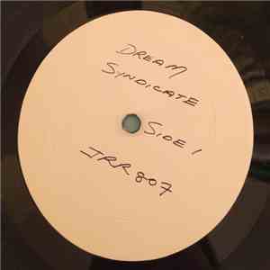 The Dream Syndicate - The Days Of Wine And Roses download flac