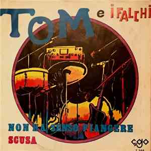 Tom E I Falchi - Non Ha Senso Piangere download flac