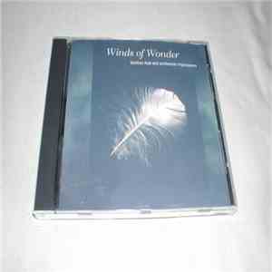 Dan Myers  - Winds Of Wonder: Bamboo Flute And Synthesizer Impressions download flac
