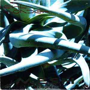 Girl Wonder - Mesh download flac