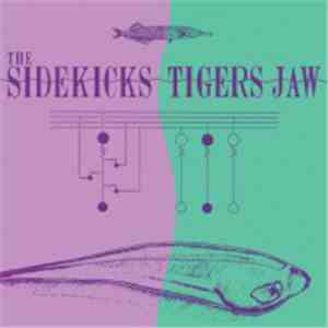 The Sidekicks / Tigers Jaw - The Sidekicks / Tigers Jaw download flac