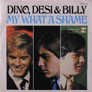 Dino, Desi & Billy - My What a Shame download flac