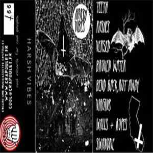 Harsh Vibes - Harsh Vibes download flac