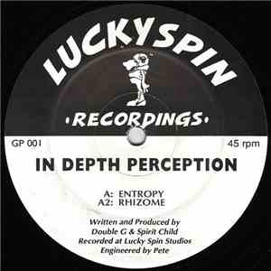 In Depth Perception - Entropy / Rhizome download flac