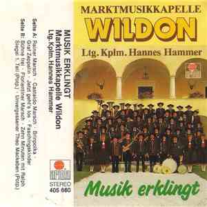 Marktmusikkapelle Wildon, Hannes Hammer - Musik Erklingt download flac