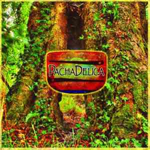 PachaDelica - Consciencia download flac