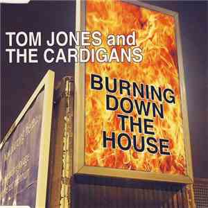 Tom Jones And The Cardigans - Burning Down The House download flac