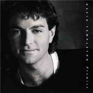 David Templeton  - Promise download flac