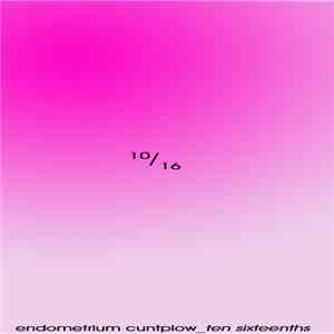 endometrium cuntplow - Ten Sixteenths download flac