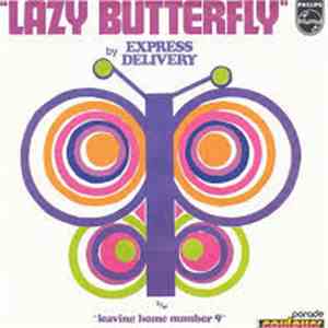 Express Delivery - Lazy Butterfly download flac