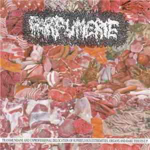 Parfumerie - Transmundane And Unprofessional Delocation Of Superfluous Extremities, Organs And Rare Tissues E.P. download flac