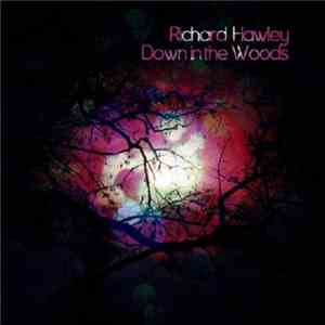 Richard Hawley - Down In The Woods download flac
