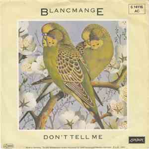 Blancmange - Don't Tell Me download flac