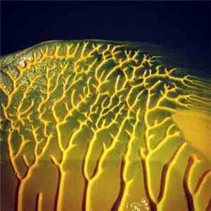 SPC ECO - Push EP download flac