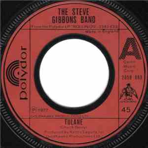 The Steve Gibbons Band - Tulane download flac