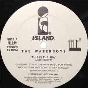 The Waterboys - This Is The Sea download flac