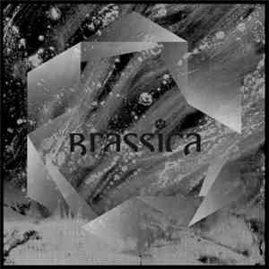 Brassica - Temple Fortune EP download flac