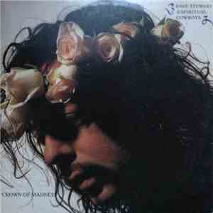 Dave Stewart And The Spiritual Cowboys - Crown Of Madness download flac