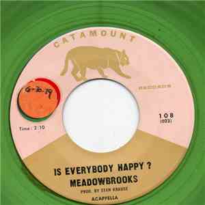Meadowbrooks - Is Everybody Happy? download flac
