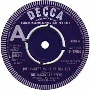 The Nashville Teens - The Biggest Night Of Her Life download flac