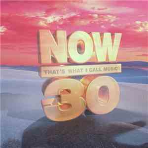 Various - Now That's What I Call Music! 30 download flac