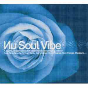 Various - Nu Soul Vibe download flac