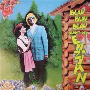 D.W.H. - Blau, Blau, Blau Blüht Der Enzian download flac