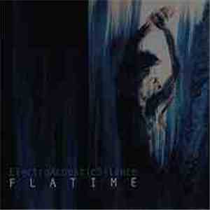 ElectroAcousticSilence - Flatime download flac