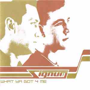 Signum - What Ya Got 4 Me download flac