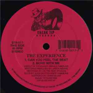 The Experience  - Can You Feel The Beat download flac
