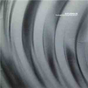Theweddingpresent - Saturnalia download flac