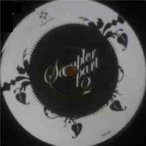 Various - Sampler. Delights Part 2 download flac