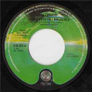 Dire Straits - Twisteando En La Alberca (Twisting By The Pool) download flac